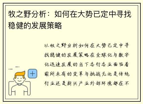 牧之野分析：如何在大势已定中寻找稳健的发展策略